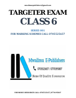 TARGETER STD 6 SERIES 1.pdf